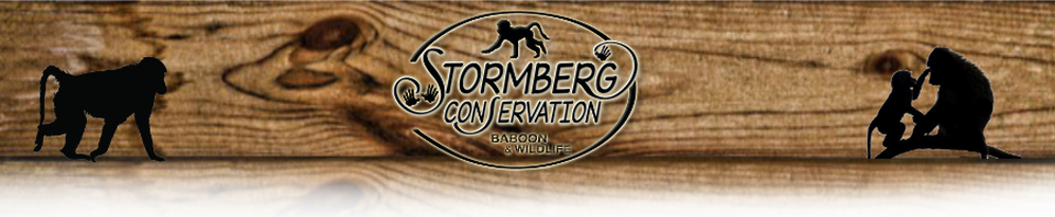 Stormberg Conservation